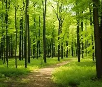 峰度控股骆国峰-开云体育